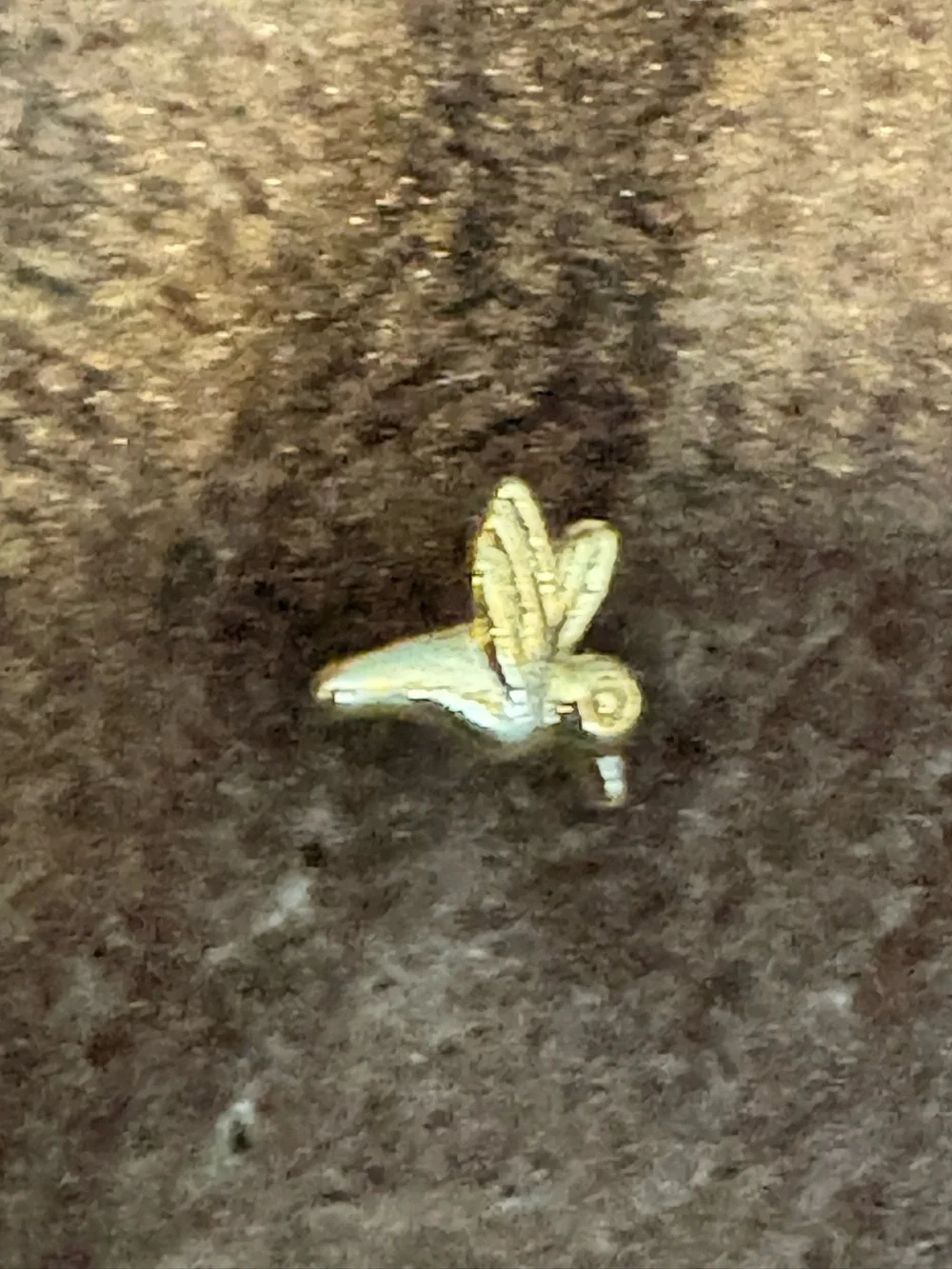 Nose Ring- hummingbird  20G Nose Ring Stud Screw 316L Stainless Steel Gold Tone